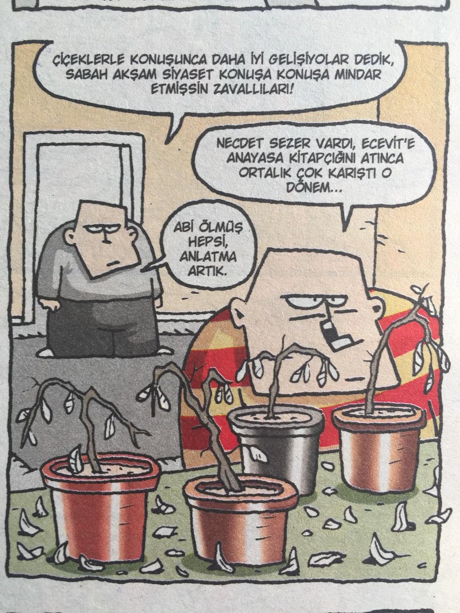 Scotopia tweet media