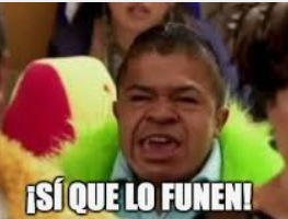 sara 🌵 tweet media