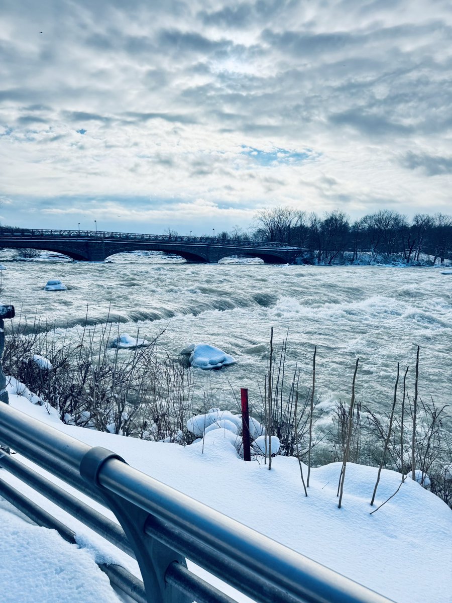 Dan Ruede tweet media