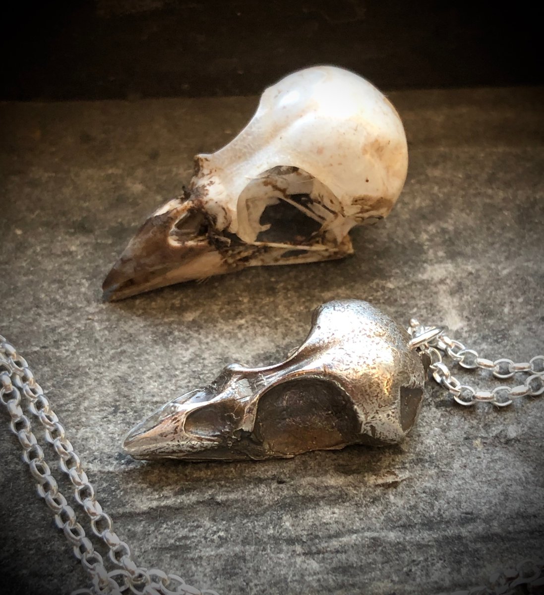 silverpebble's tweet image. If you'd like to learn how to cast nature finds in recycled silver &amp;amp; how this activity alters brain biochemistry to improve mental health I have a full 10 day online course that begins 31st Jan.
I've taught this technique on BBC Countryfile, @V_and_A museum &amp;amp; @CUBotanicGarden.…