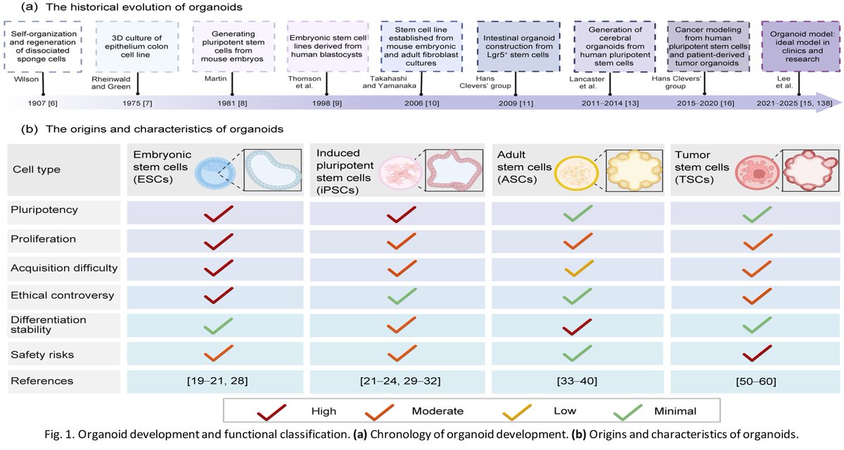 Bio-Design and Manufacturing tweet media