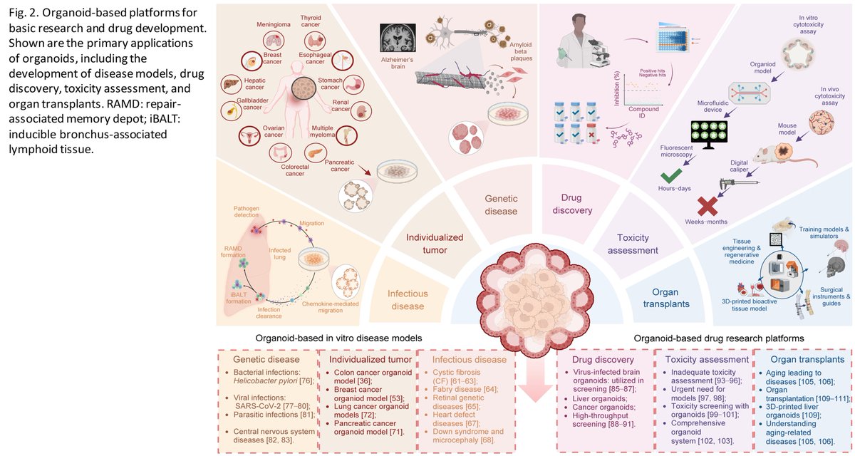 Bio-Design and Manufacturing tweet media