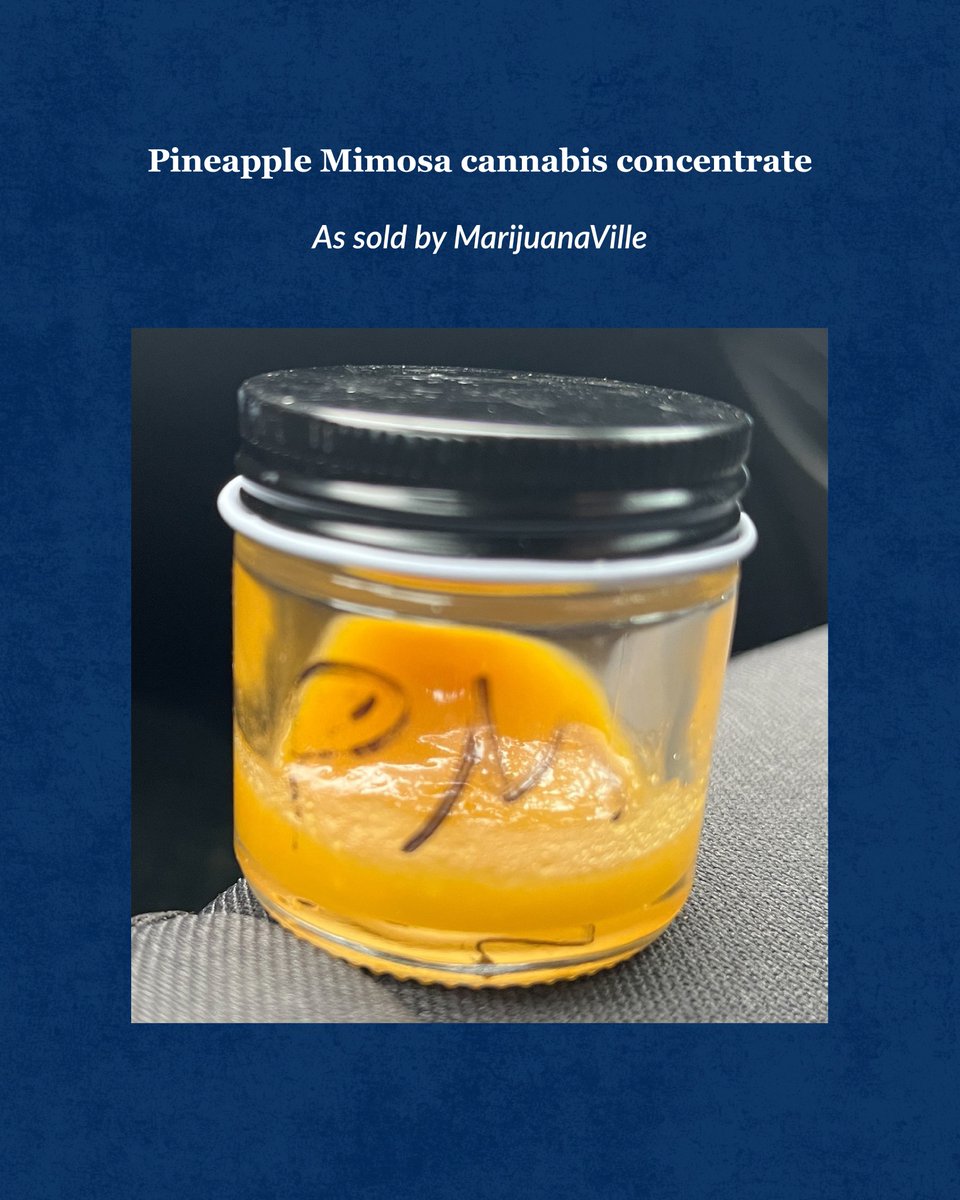 Maine Office of Cannabis Policy tweet media