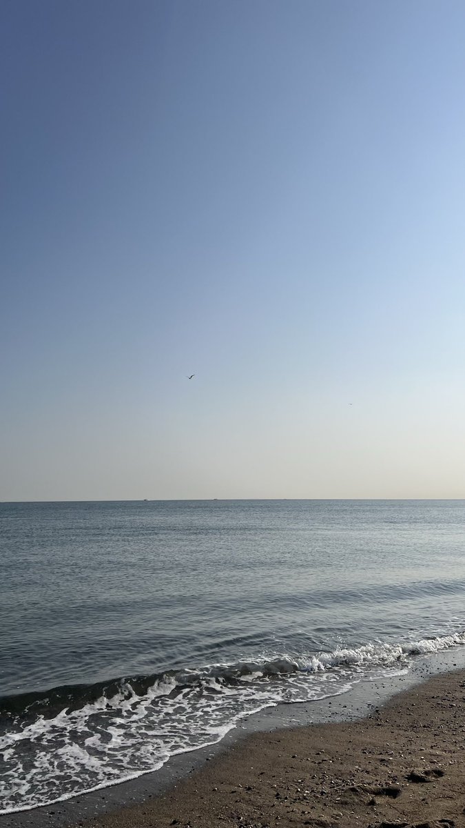 أربعيني زاير جده.....