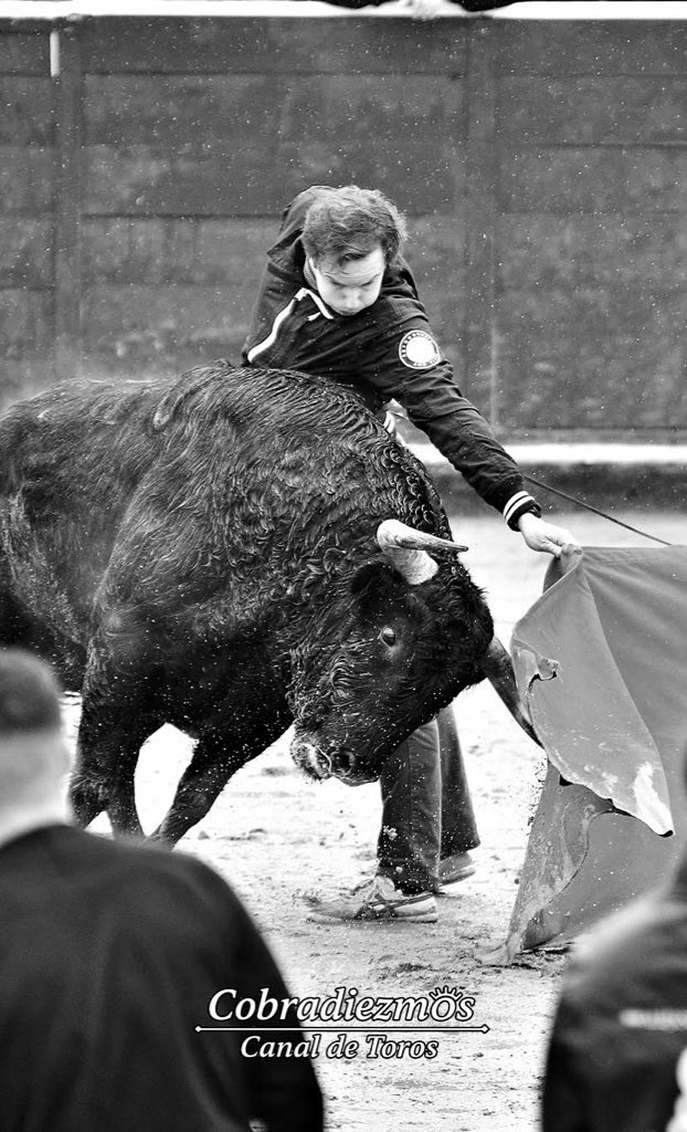 Como más me siento y más disfruto de torear…

📸 <a href="/Azabache_y_Oro/">Azabache y Oro</a> y
Cobradiezmos Canal de Toros