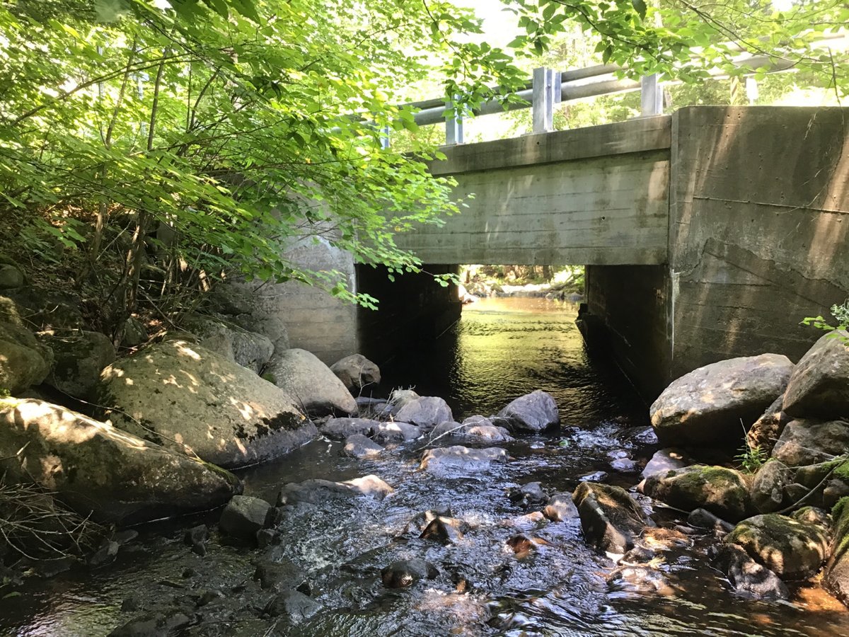 NH Dept Env Services tweet media