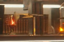 MajorMagna tweet media