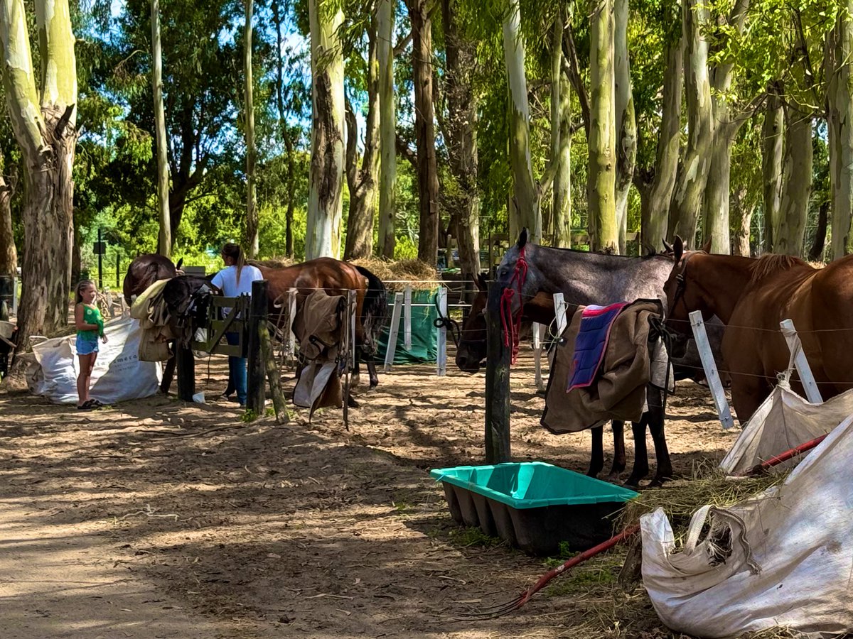 Sus vacaciones deben incluir los caballos, ellos como estilo de vida!

Aprendiendo el oficio de “petisera” junto a la genia de Juli!