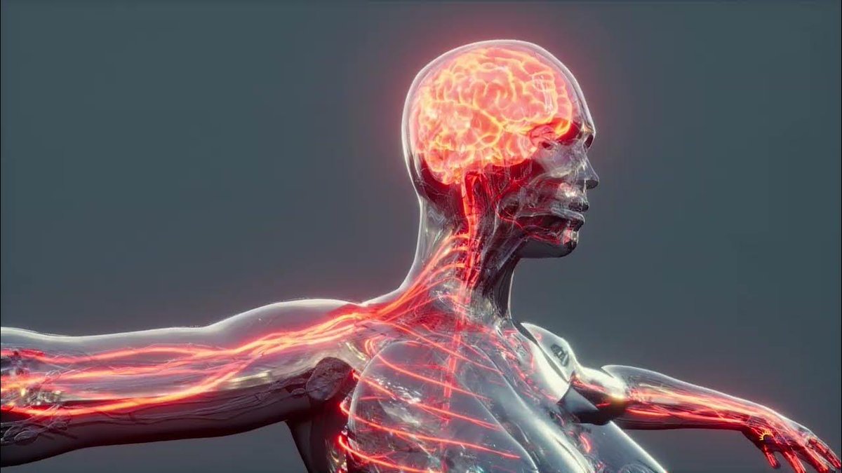 Heal Your Brain!

Sunrise Wellness Center’s Doctor Ron Sinagra speaks about brain repair.

youtu.be/lGwO1KVuOOQ

#brainrepair #brainhealing #healyourbrain  #health #wellness #SunriseWellnessCenter