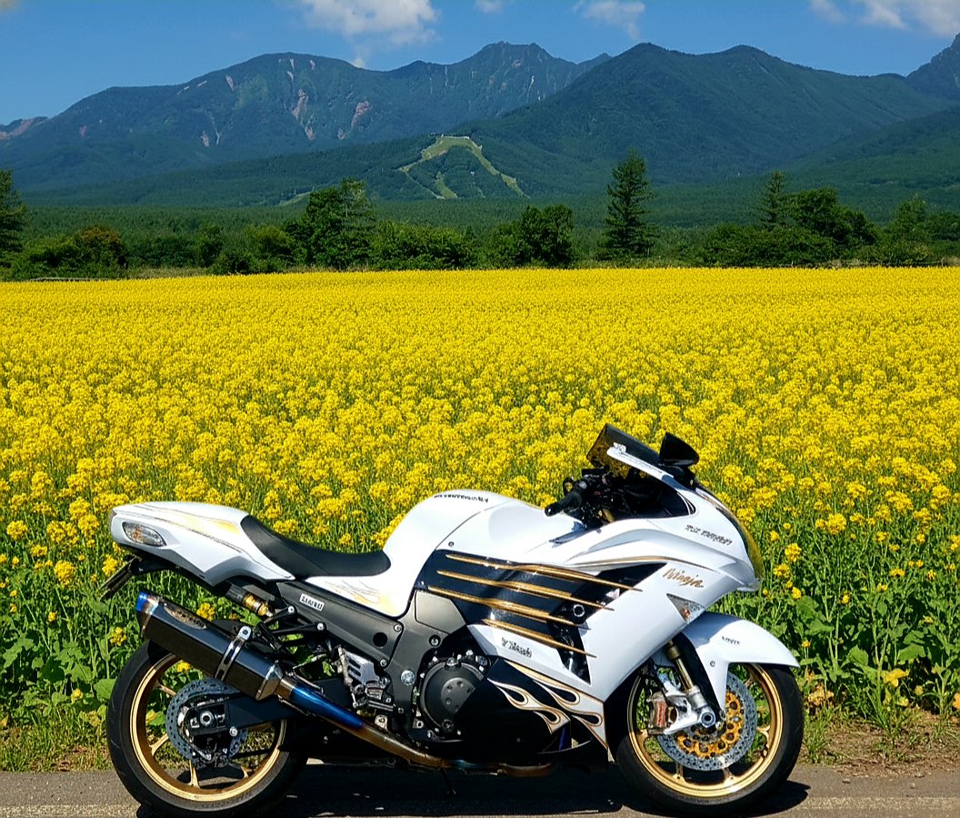 みっちゃんZX-14R (@ym025) / Posts / X