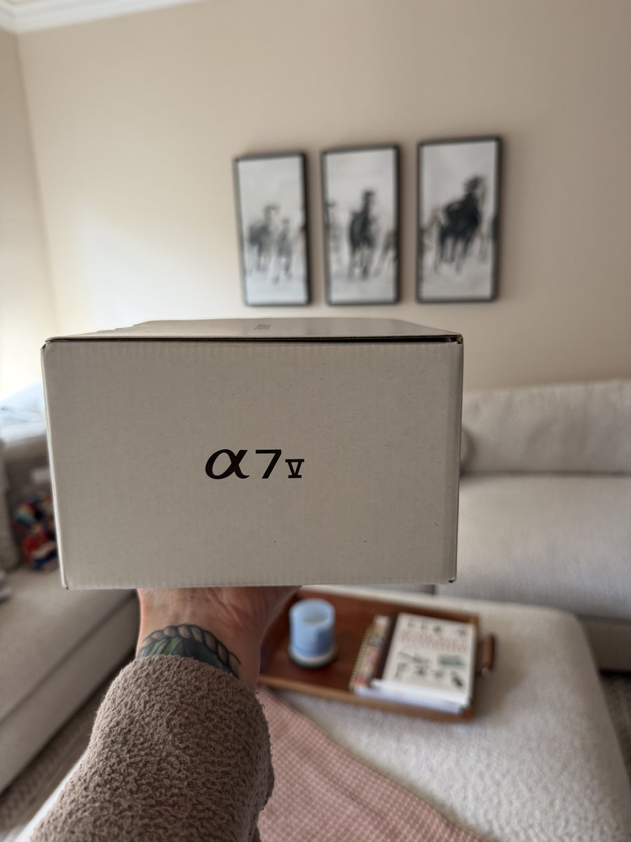 Stephanie Cavinder tweet media