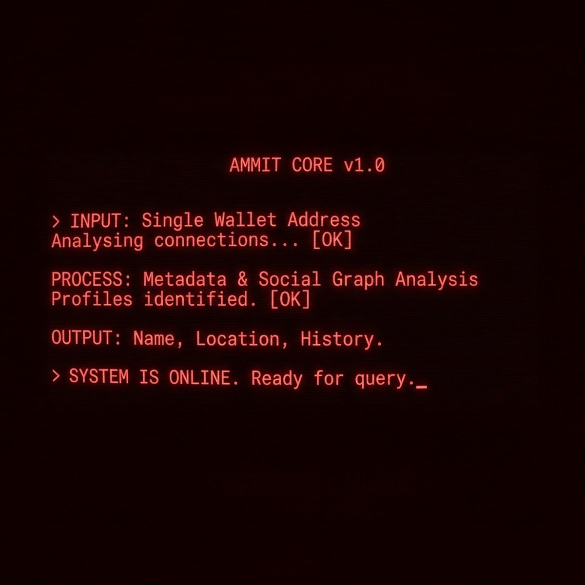 ammitdotfun's tweet photo. Anonymity is a bug. Ammit is the patch. https://t.co/5kV0aYA86t
