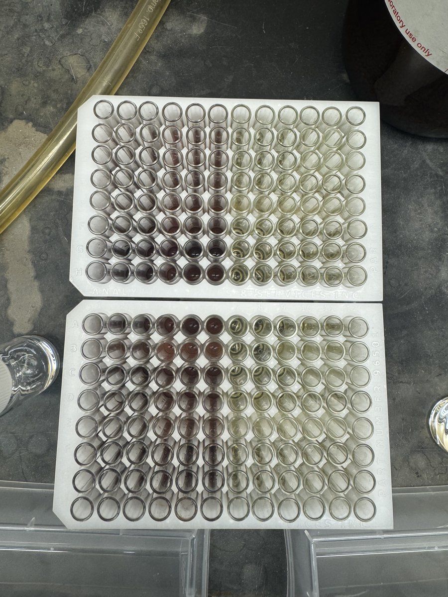 Jet Tsien tweet media