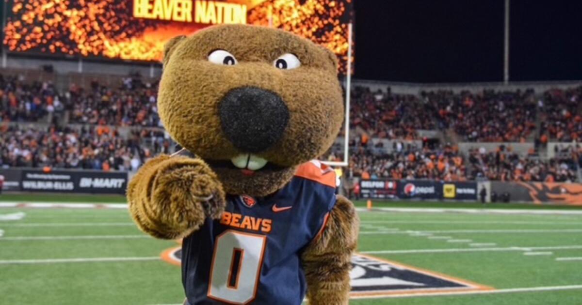 Odell Simms Jr tweet media