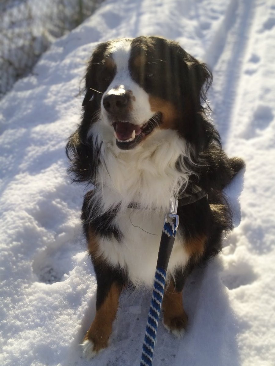 朝だね、おはよう

20150123