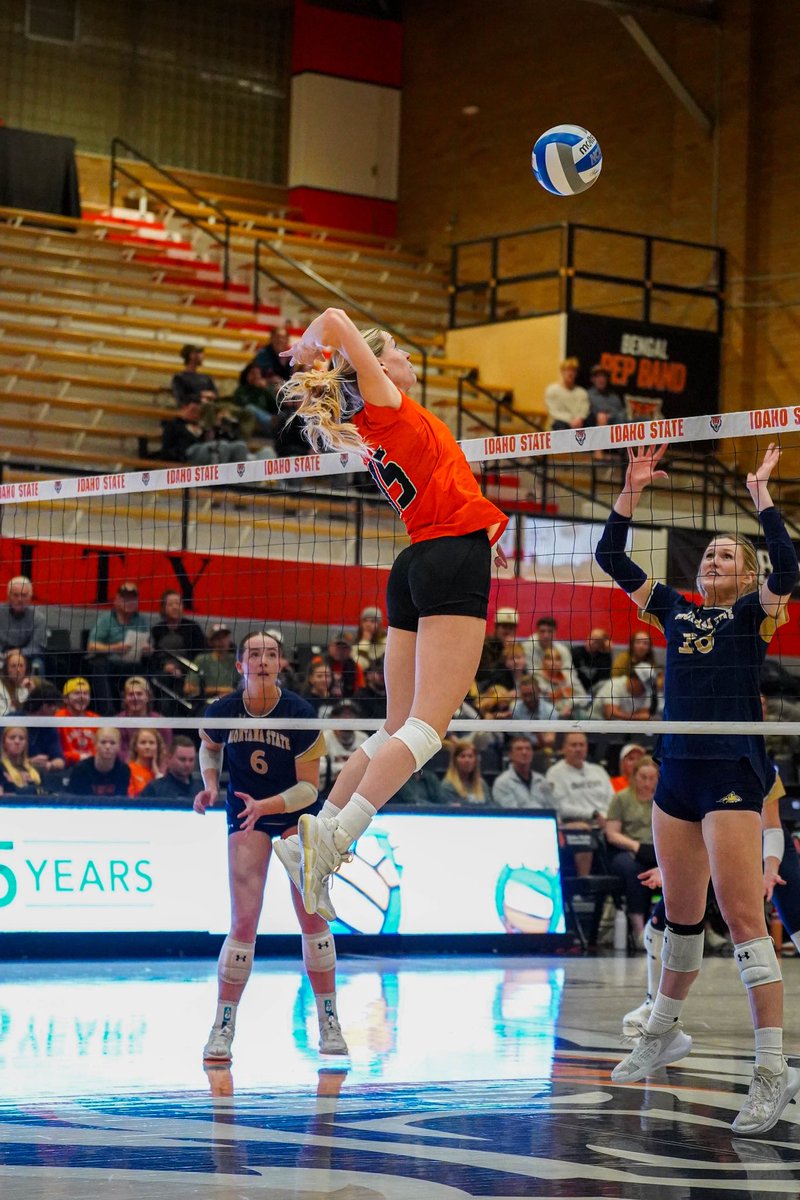 Idaho State VB tweet media