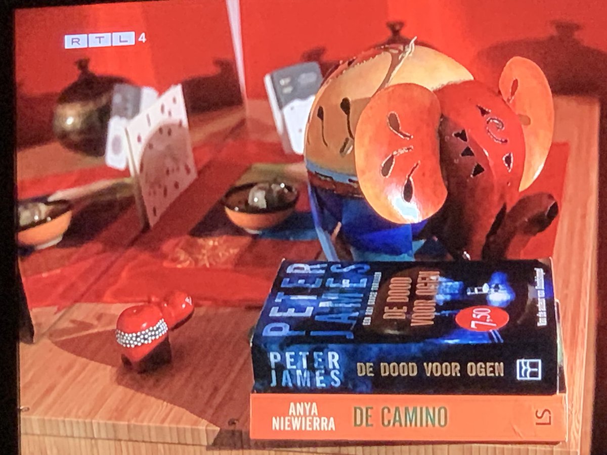 KeiVandersteen's tweet photo. Die is van plan wel effekes te blijven 📚#wintervolliefde https://t.co/M0jhX0dzi2