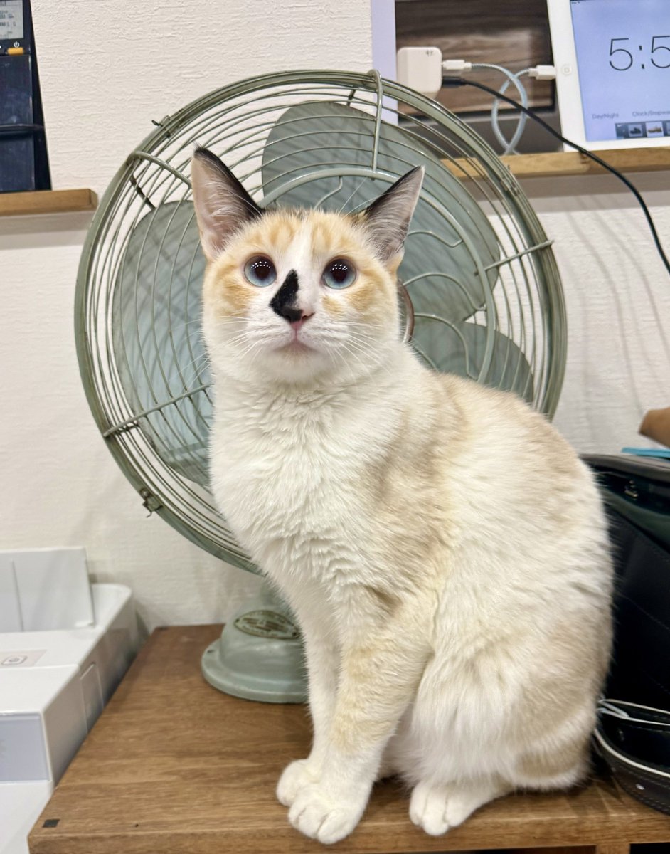 なみそ📕KEN/書籍重版！感謝📙 (@omochi_nam01) / Posts / X