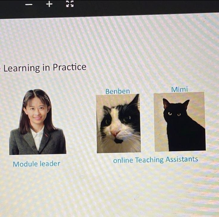 CatWorkers's tweet image. Teaching assistants.