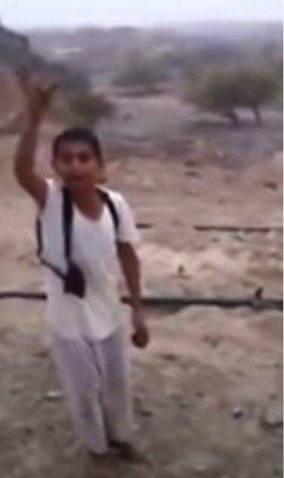 BoZoO ( 𝜓 ) tweet media