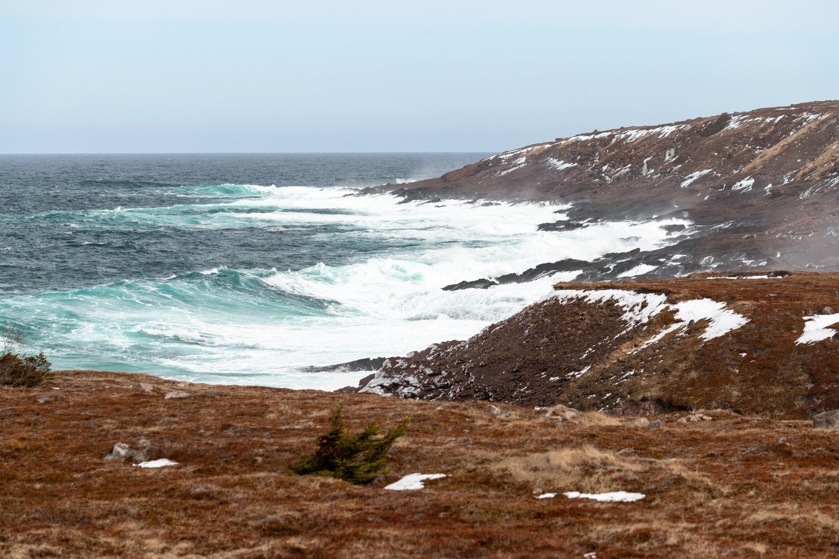 Today and everyday let’s celebrate the beauty of Canada. From the Rockies to the Maritimes, to the North and the Prairies, Canada is home to breathtaking scenery, unique wildlife, and dynamic communities. Let’s protect what makes Canada extraordinary. 🌎 #EarthDay2026