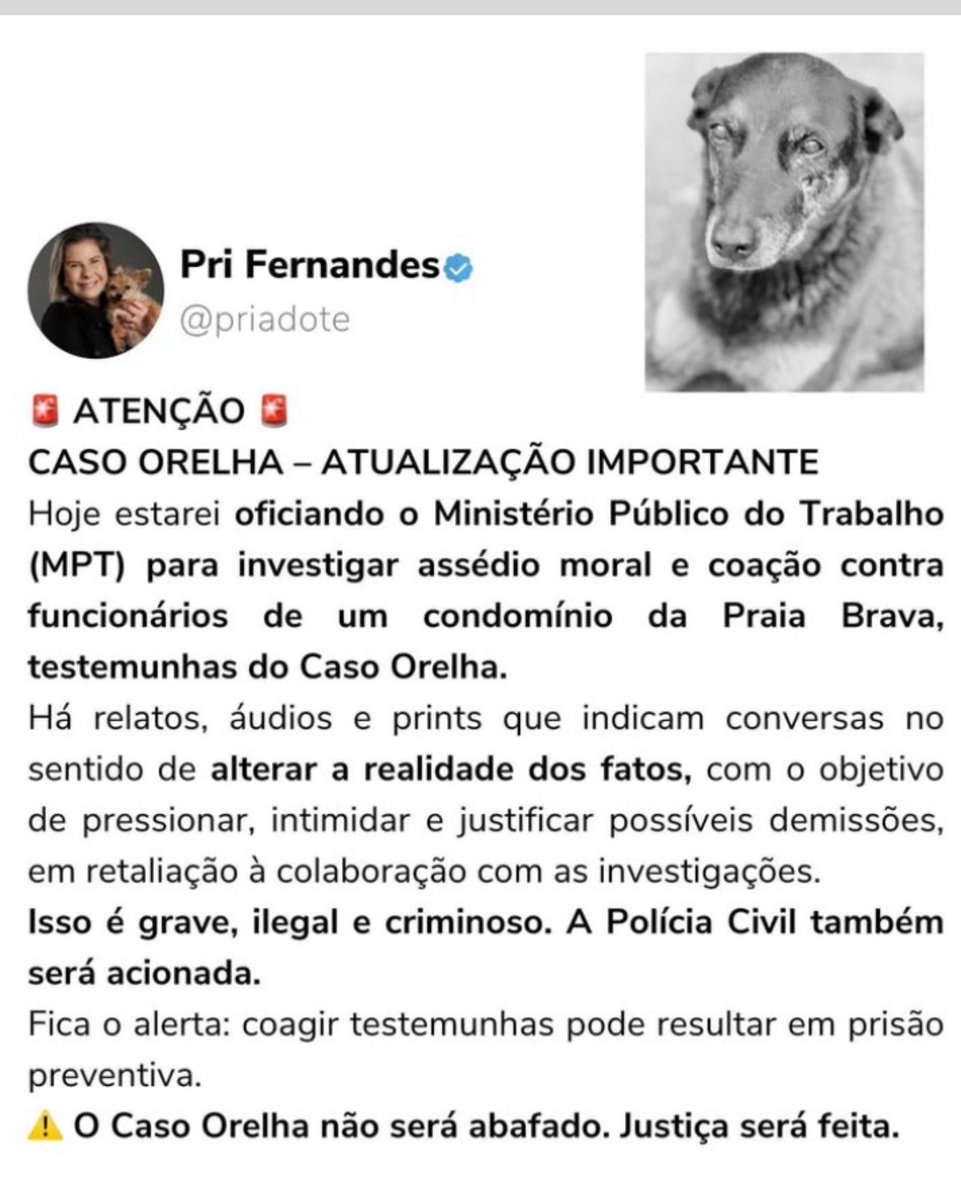 kaarolzx's tweet image. A vereadora de Florianópolis confirmou que há ÁUDIOS e PRINTS que confirmam ameaças por parte da família dos marginais contra testemunhas e contra o porteiro (que foi demitido)