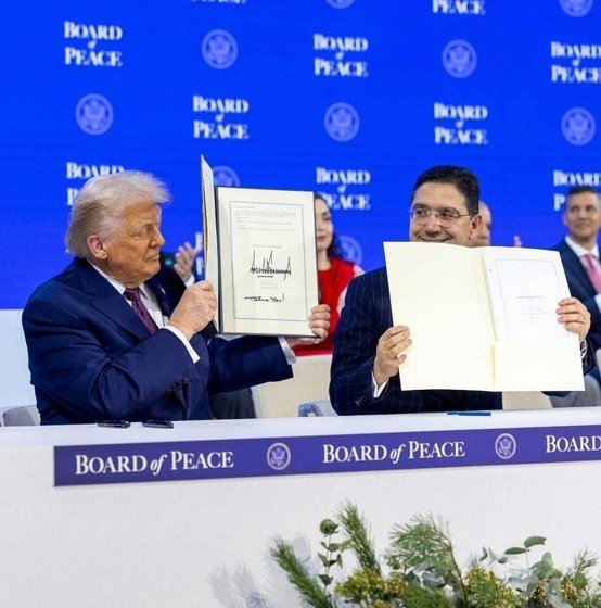 Institut Amadeus tweet media