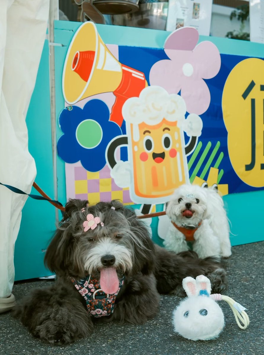 Cyber pets and cute pets gathering ✨