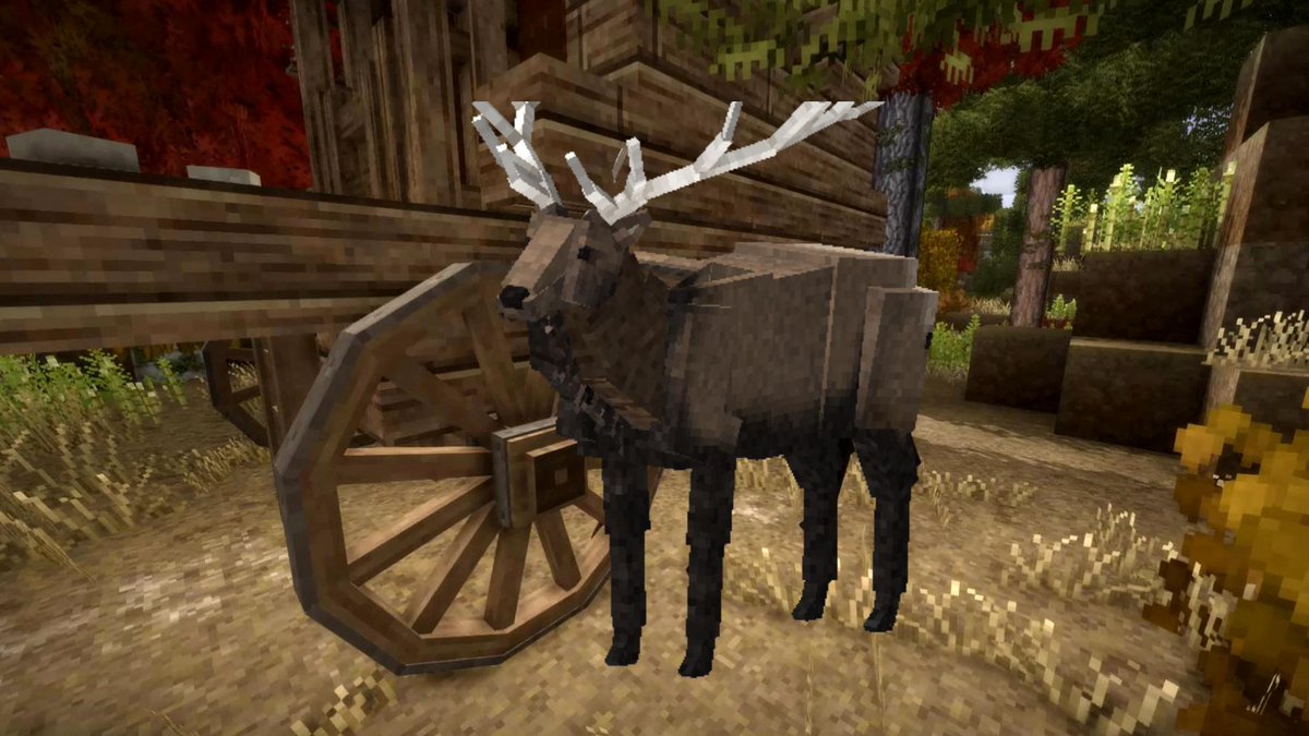 Chavier Animation tweet media