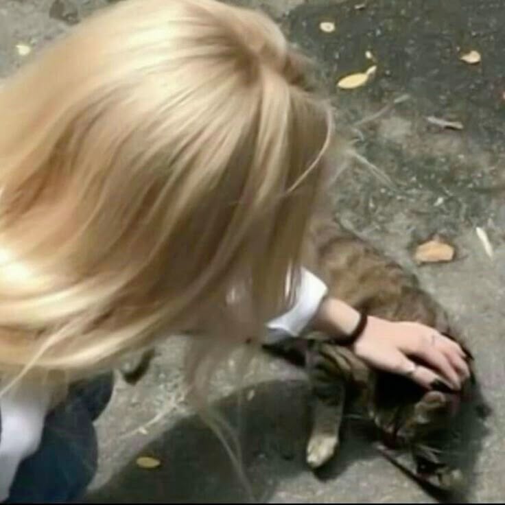 RuByfromhells's tweet image. ♡♡┊ mini au — #Alevo

°• “Tratando meu amige como namorado até elu perceber”•°