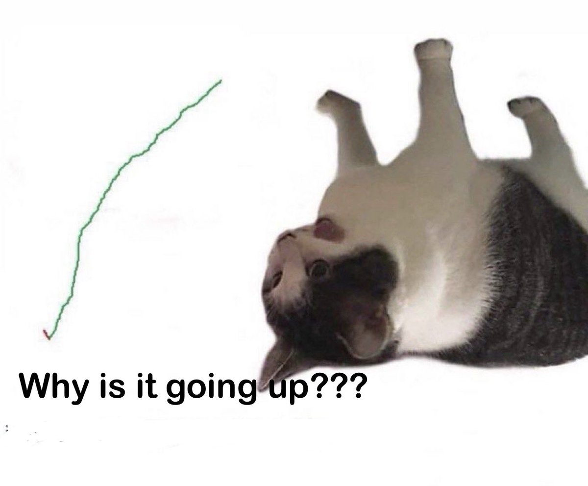 Gavin May tweet media