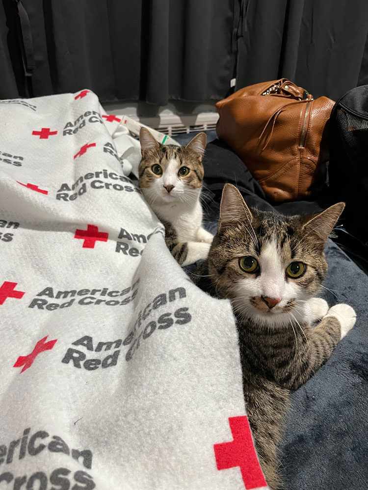 RedCross's tweet image. Emily Trage and Aidan Samwick had just started building their life together in East Harlem, settling into their new place with their two kittens, Fish and Chips, when everything changed.

Aidan, who often sleeps during the day after working the overnight shift, woke up to…
