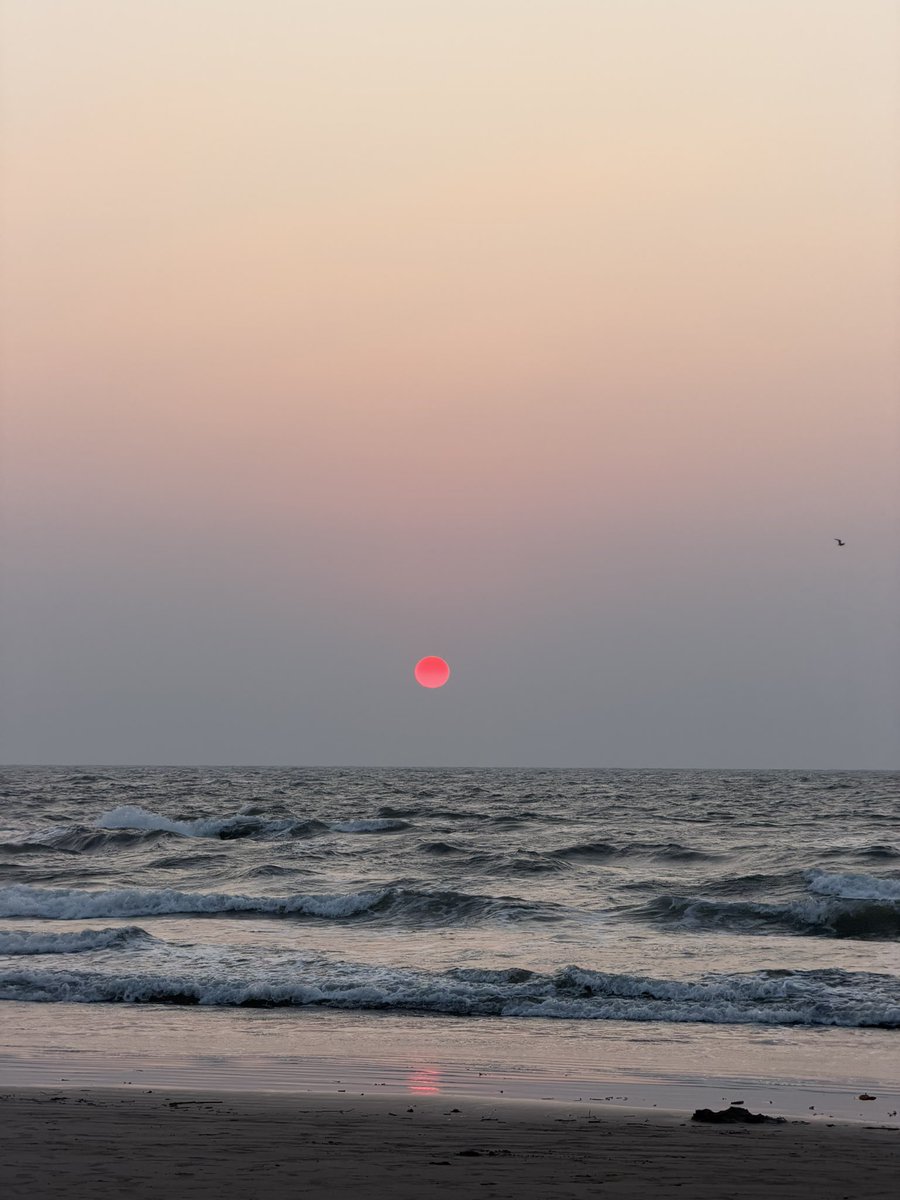 Cookiemanman tweet media