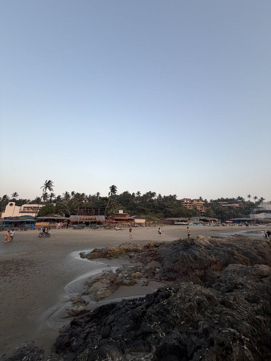 Cookiemanman tweet media