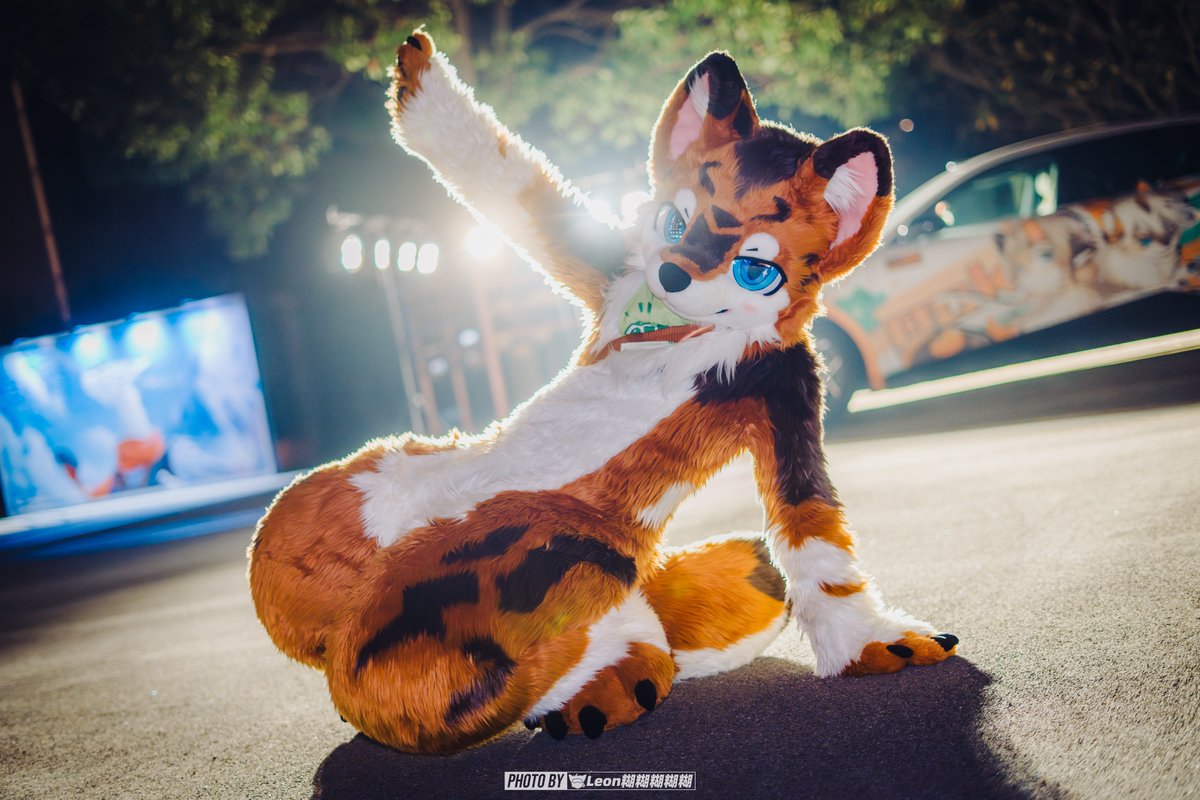 一信_Isshin tweet media