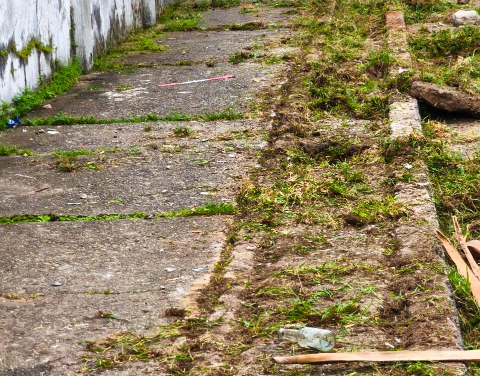 Bioagrícola SA ESP tweet media