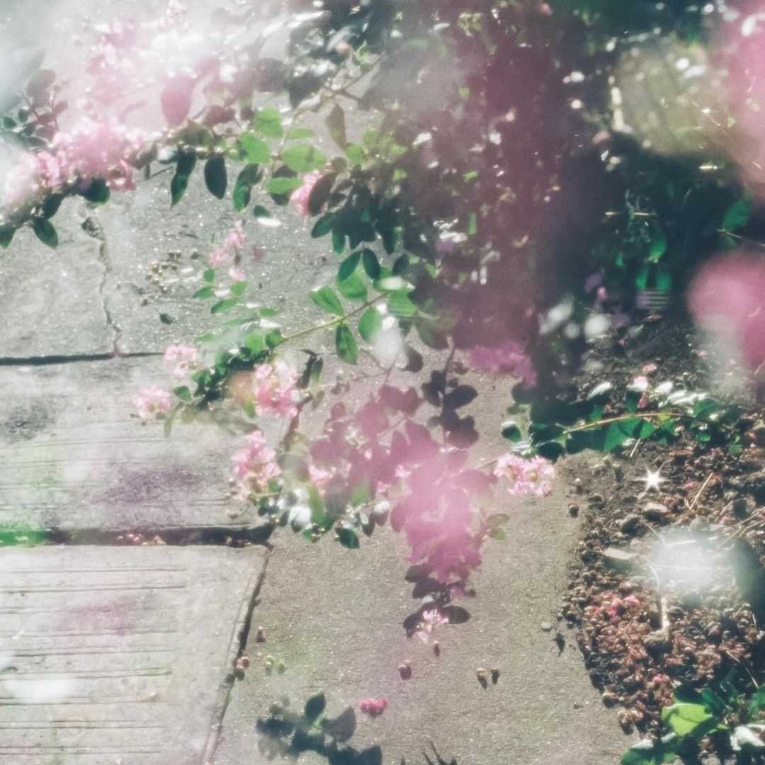 売っちゃった…$7466 SPK株式会社の株を2416.0で。俺ってバカ、あの時もっと買っとけばよかった！😂  1.00%の上昇を見て、またやっちゃったよ。株価上がるのはマジでダメージだわ…💔