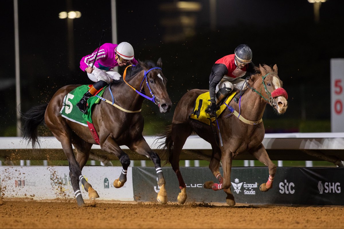 نادي سباقات الخيل tweet media