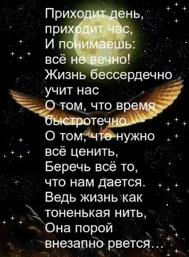 Татьяна Краузе (@t_krauze) on Twitter photo 