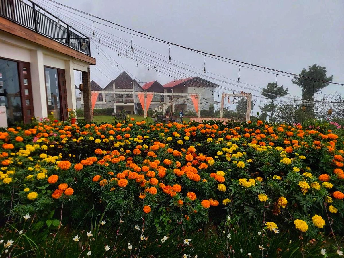 monotrails's tweet image. Thursday 22 January

Today’s Daily Picture Theme is ‘Garden'

RT or reply with your own photo 

Tomorrow’s theme will be ‘Hot'

#DailyPictureTheme