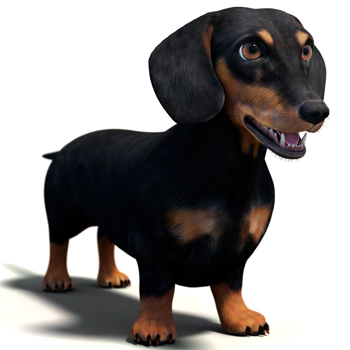 PROmax3D's tweet photo. Black Dachshund Dog 3D Model
https://t.co/sYub4tFZEU https://t.co/WSuXnhf9He
