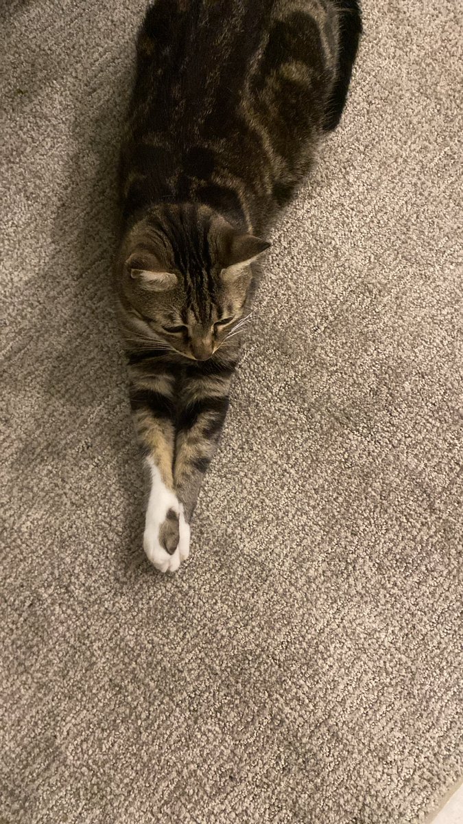 Almejandra tweet media