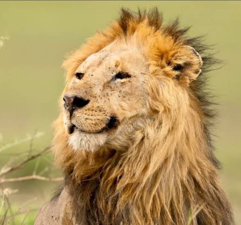 GucciFeline's tweet photo. Me after successfully ragebaiting bro https://t.co/sHGXCroJuh