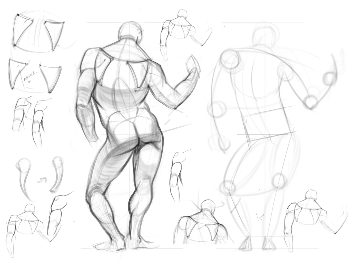 Alexandra Malygina Fler tweet media