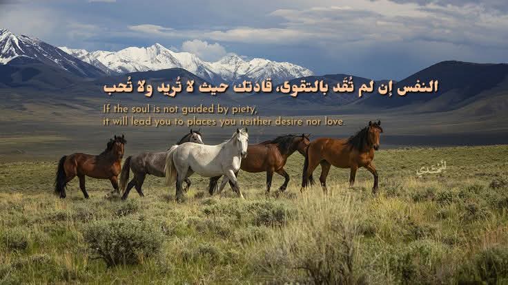 النفس إن لم تُقَد بالتقوى، قادتك حيث لا تُريد ولا تُحب