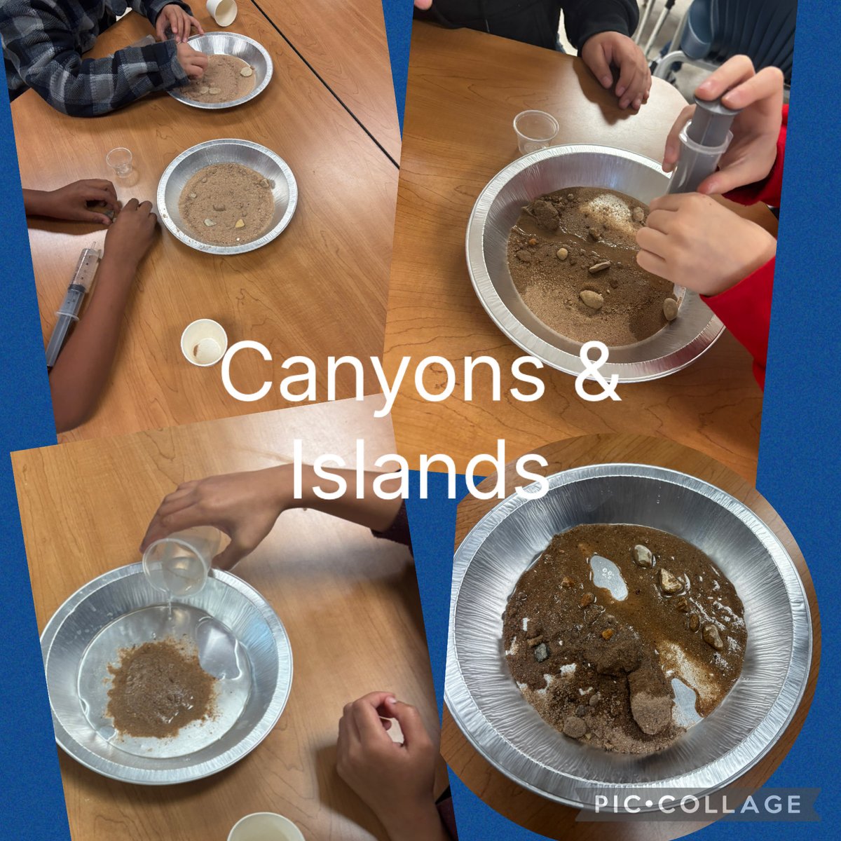 Shannan Burke tweet media