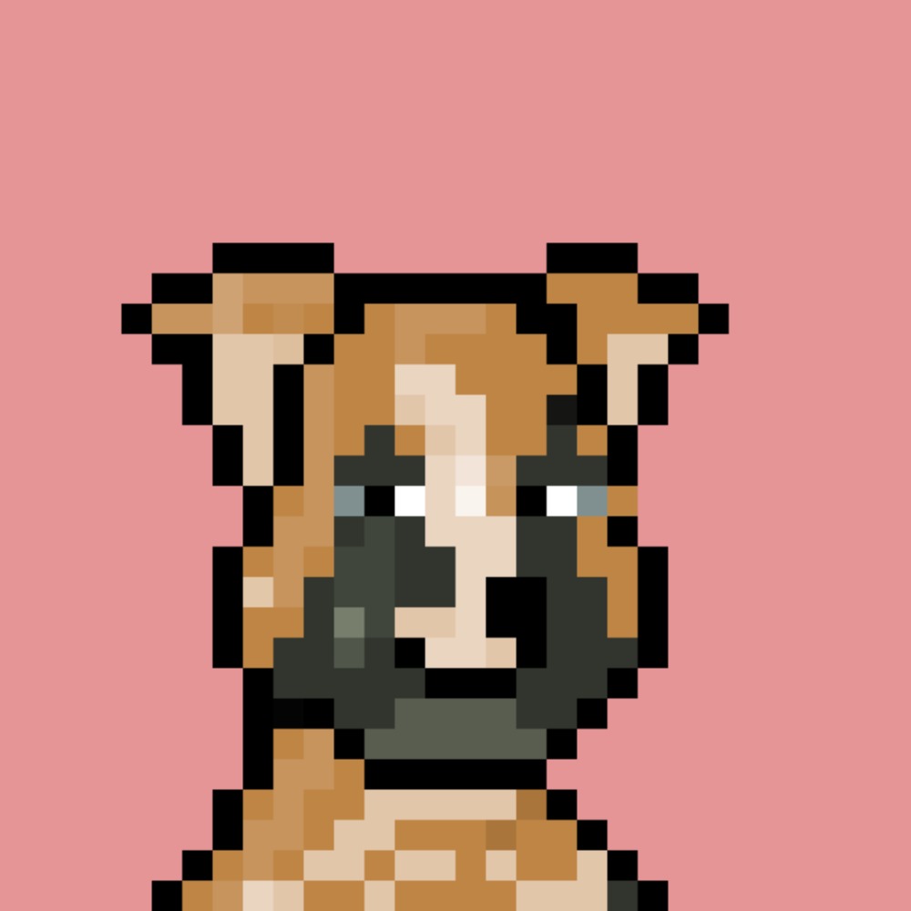 Seo Expert tweet media