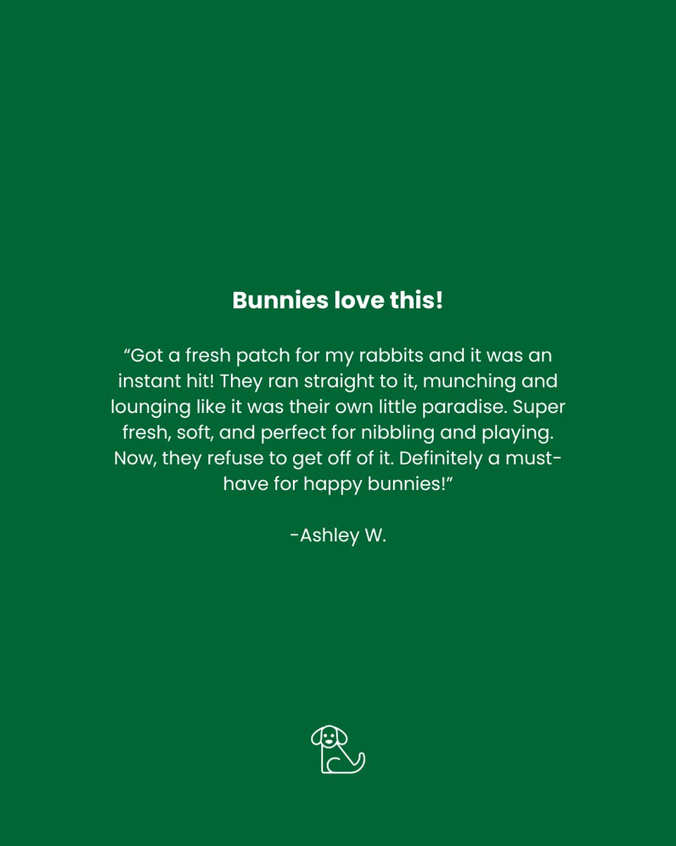 FRESH PATCH tweet media