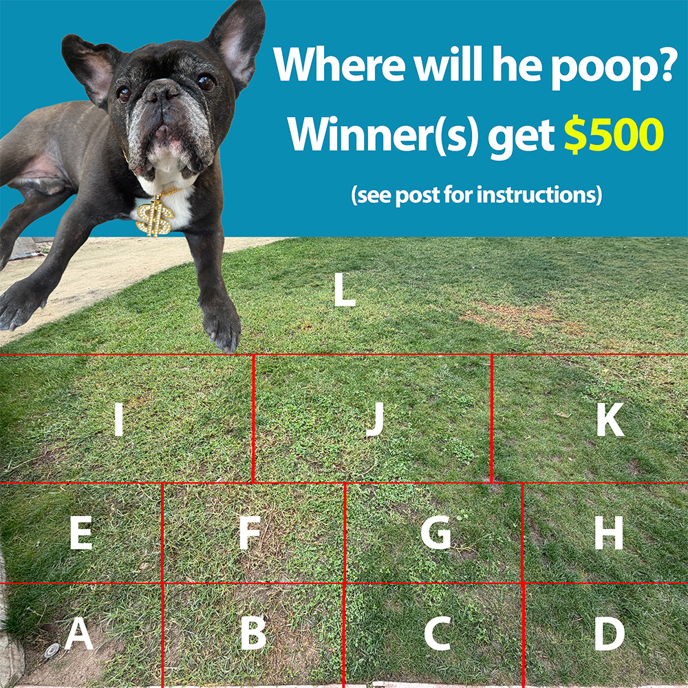 joincreatordao's tweet image. $500 prize to winner(s) that guess correctly. 

Instructions:

1. Comment with EVM address and your guess
2. Like + RT
3. Follow

💩 reveal + winners announced tomorrow.