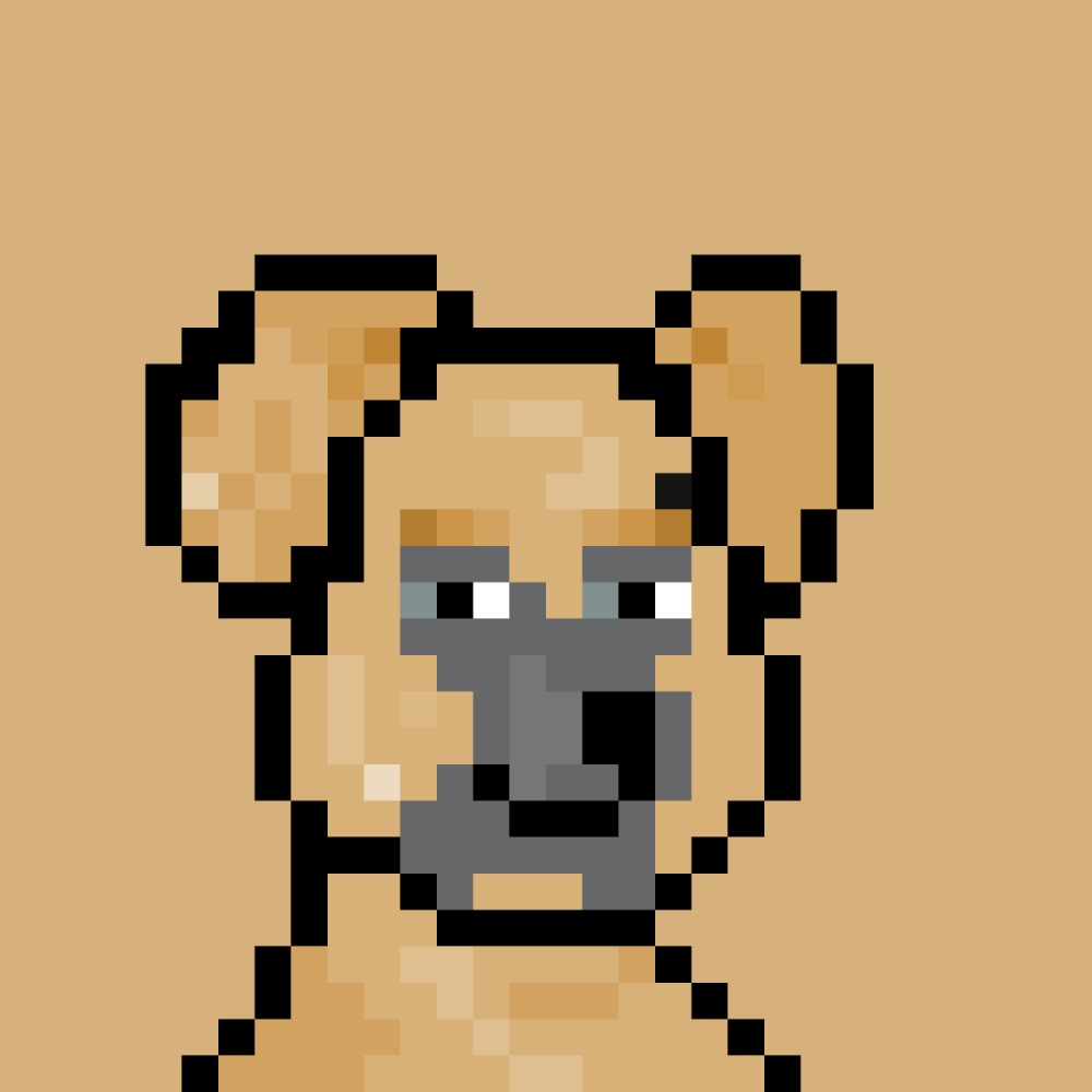 Seo Expert tweet media